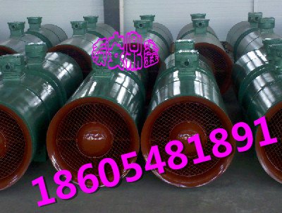 供应最值得信赖的FBD№6.0/2×18.5矿用隔爆型压入式对旋
