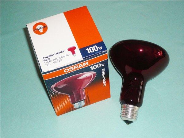供应飞利浦红外线理疗灯泡R95E230V100w