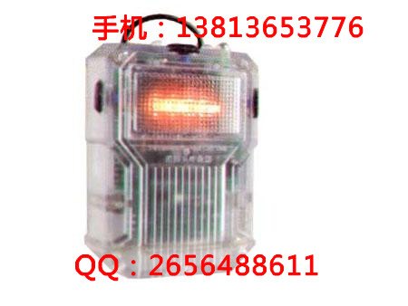 RHJ60A呼救器