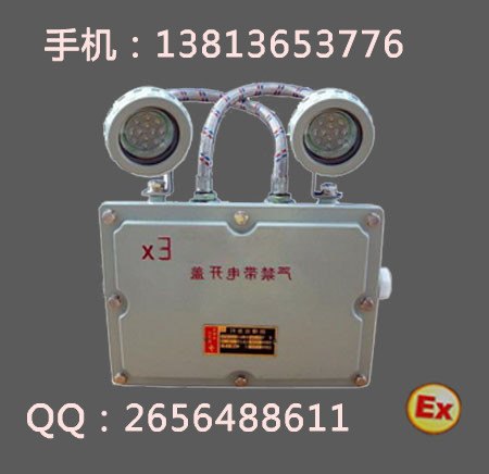 BFC8185LED双头防爆应急灯