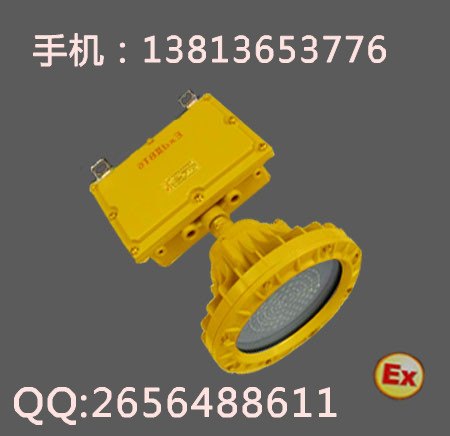 BFE8184LED防爆应急灯