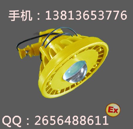 BTC8260LED防爆投光灯