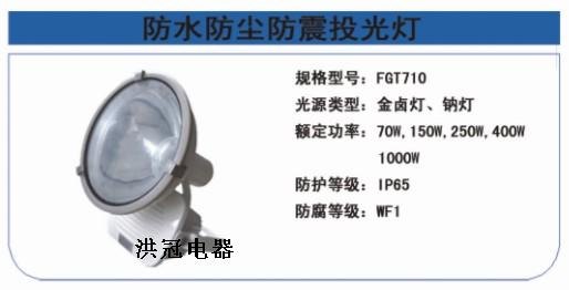 CNT9170防震投光灯，CNT9170防水防尘防腐投光灯 