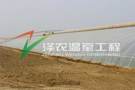搞好蔬菜大棚建设带动农村经济 
