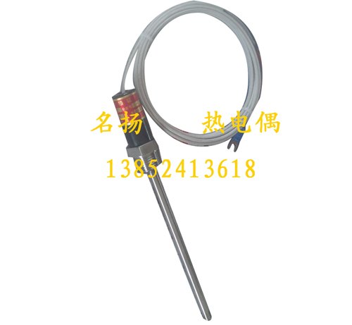 玻纤不锈钢传感器