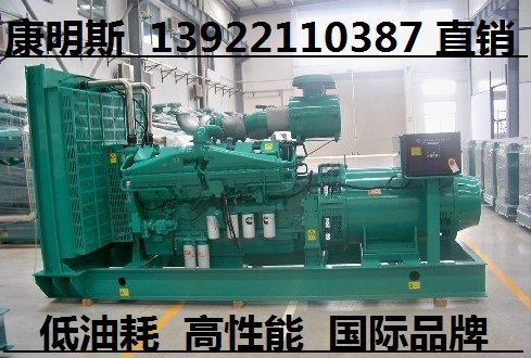 供应东风康明斯柴油发电机组广州生产厂家 专业康明斯