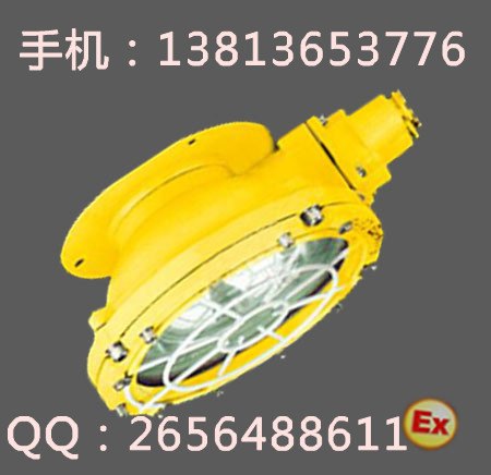 BCW6219防爆吸顶灯