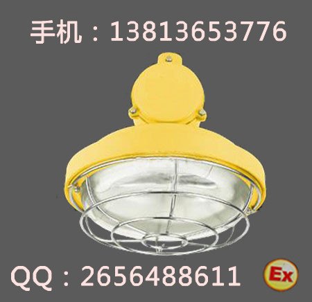 BCW6221防爆吸顶荧光灯