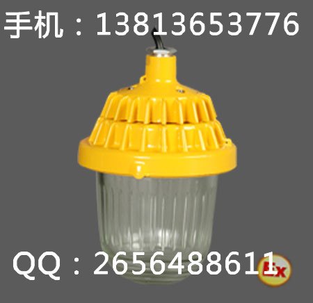 BPC8720防爆平台灯