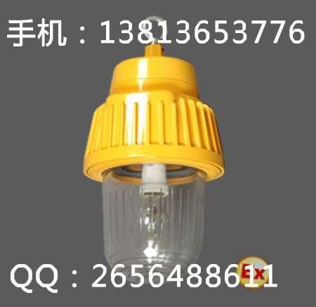 BPC8730防爆平台灯