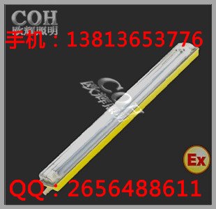 BCX6225粉尘防爆防腐荧光灯