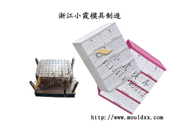 新颖工具篮注塑模具