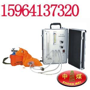 ZJ10B自救器校验仪