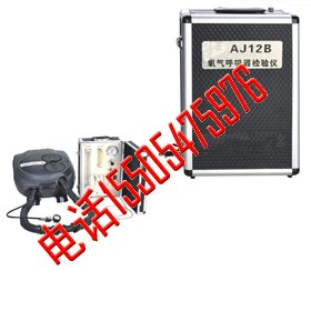 AJ12B氧气呼吸器检验仪,矿用呼吸器校验仪