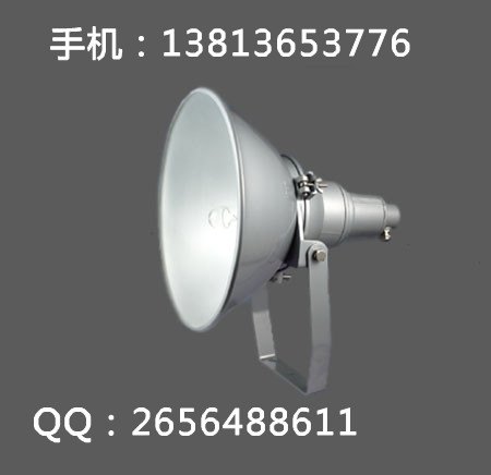 NTC9210/9210A防震投光灯