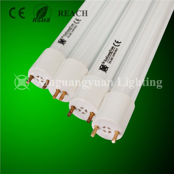 T6荧光灯管 三基色 36W 塑料灯头 