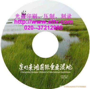 供应广州光盘丝印，光盘压制，光盘刻录