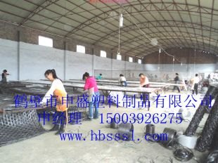 塑料网片 矿用支护网