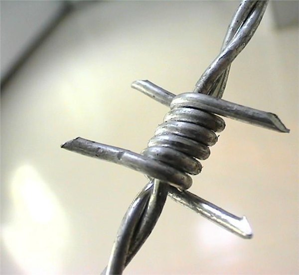 刺绳、刺绳隔离线、镀锌刺绳作用及价格