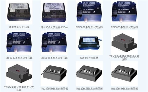 FIDA点火变压器 FIDA 26/30 双极点火变压器 FIDA 2
