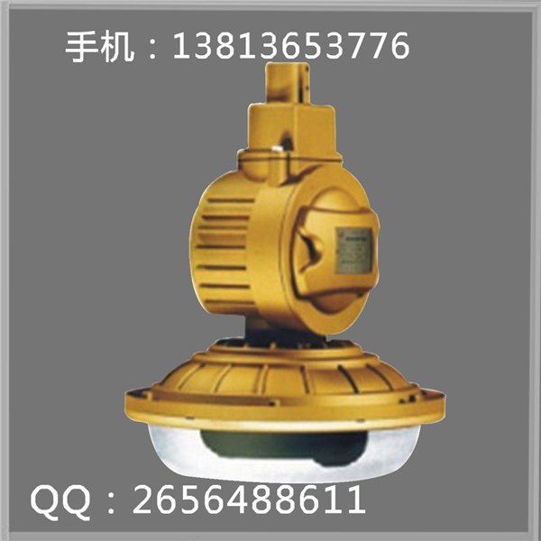 SBD1102免维护节能防爆灯又名防爆无极灯