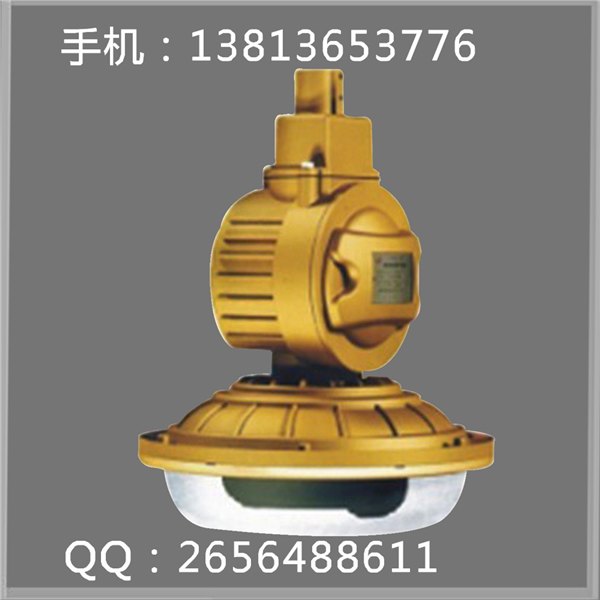 SBD1103-YQL50免维护节能防爆灯