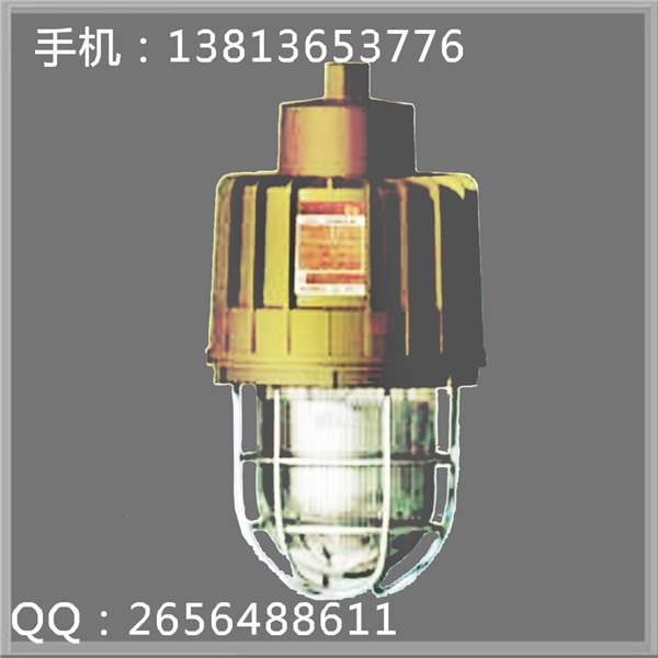 SBD3105防爆无极灯