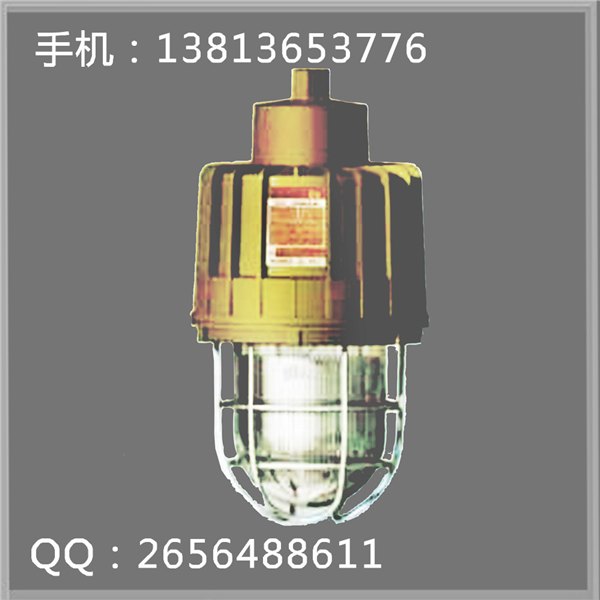 SBD3107隔爆型防爆应急灯