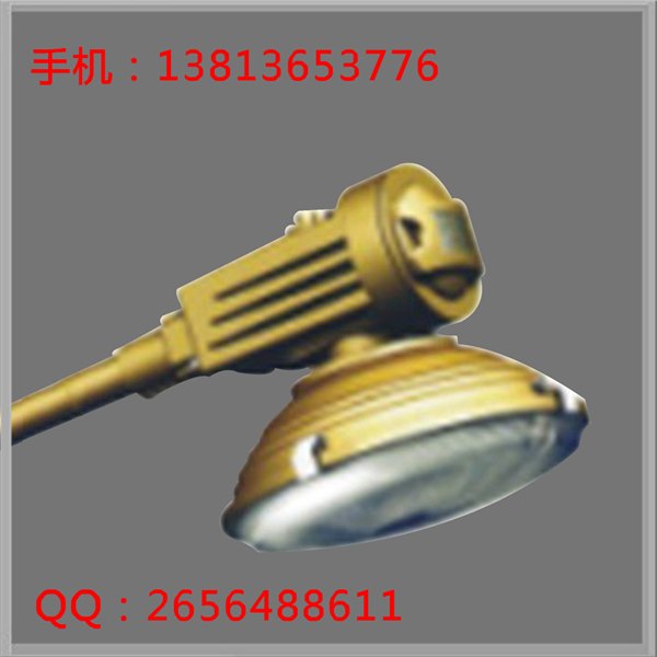 SBR1120防爆道路灯