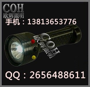 BAD209防爆手提强光工作灯