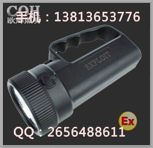 BAD301 防爆强光工作灯 BAD301