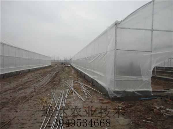 温室大棚钢架大棚简易拱棚连栋拱棚镀塑大棚骨架保温材料配件