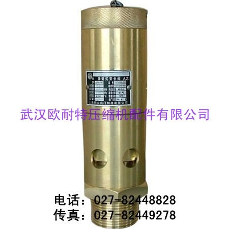 19029891安全阀