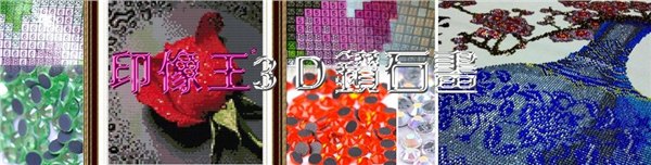 印像王3D钻石画