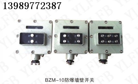 供应BZM-10防爆墙壁开关 铸铝防爆墙壁开关 防爆墙壁开关供应商