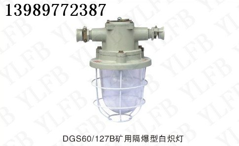 专业生产DGS系列矿用隔爆型白炽灯 隔爆型白炽灯厂家