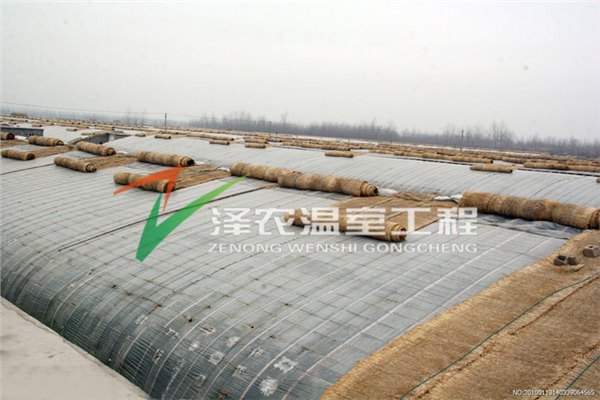 节能日光温室大棚，温室大棚建设  
