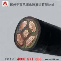 YJV4+1芯电力电缆哪种品牌好，中策牌