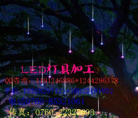 供应最新款LED户外照明彩灯/春节树上挂件彩灯加工厂