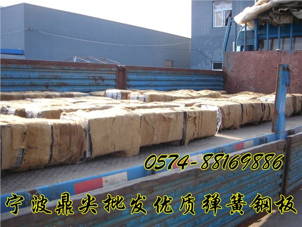 宁波鼎尖供应热处理弹簧钢片价格