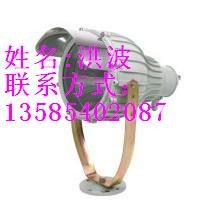 BTd92-L1000系列防爆投光灯