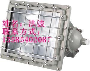 BAT52防爆泛光灯//CYBF8980防爆泛光灯  
