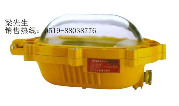 BFC8920粉尘防爆内场强光泛光灯