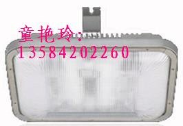GC105防水防尘灯~GC105~GC105 ZY8130  ZY81
