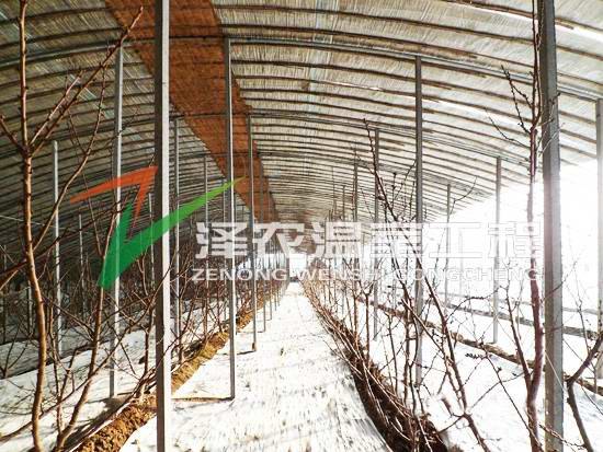 冬暖式拱棚建设