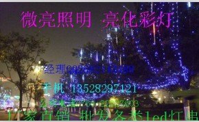 LED微亮网灯/节日景观灯/挂树亮化网灯批发部