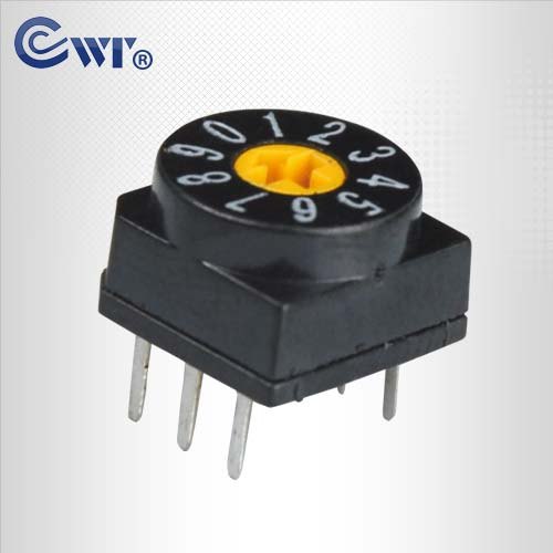 CWT旋转DIP开关 10位编码开关 拨动开关 高质量