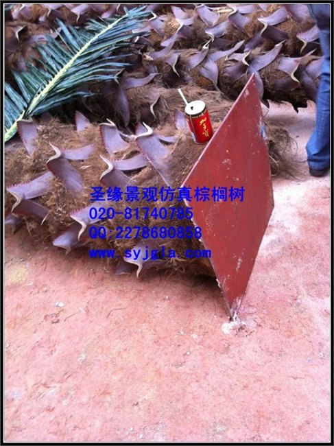 仿真扇葵树，仿真人字皮树，仿真真皮树