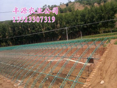 钢管镀塑蔬菜大棚骨架保温大棚骨架厂家