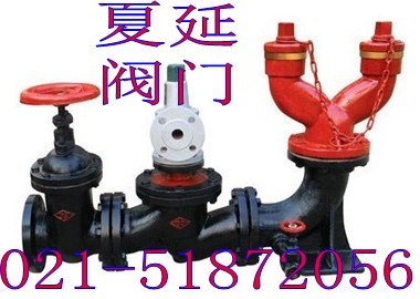 供应上海消防供水设备-地下式消防水泵接合器SQX